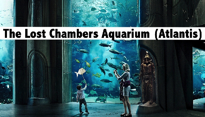 The Lost Chambers Aquarium (Atlantis) Tickets for only AED69
