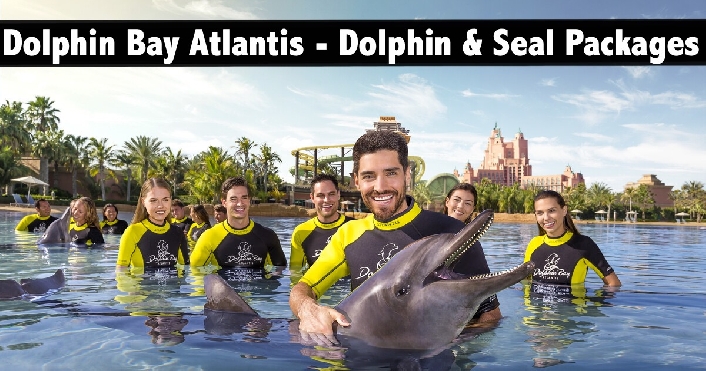 Dolphin Bay Atlantis (Atlas Village) - Meet & Greet, Dip & Play, Swim Packages Available - Free Access to Aquaventure