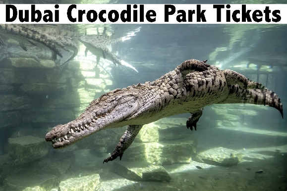 Dubai Crocodile Park - Entry into Museum and Aquarium - Child (AED75), Adult (AED95)