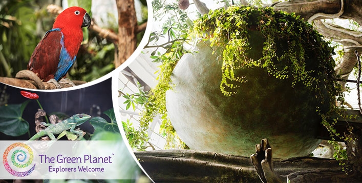 Green Planet (City Walk) 1 Day Access Pass - Child (AED129) and Adult (AED149) - Open Dated Tickets